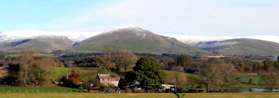 Panoramic View of The Hollies