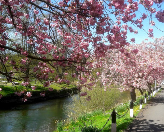 River Eden at Appleby