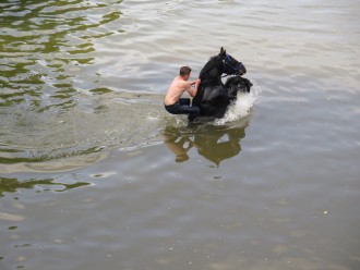 Troublesome horse in the river during Appleby Fair